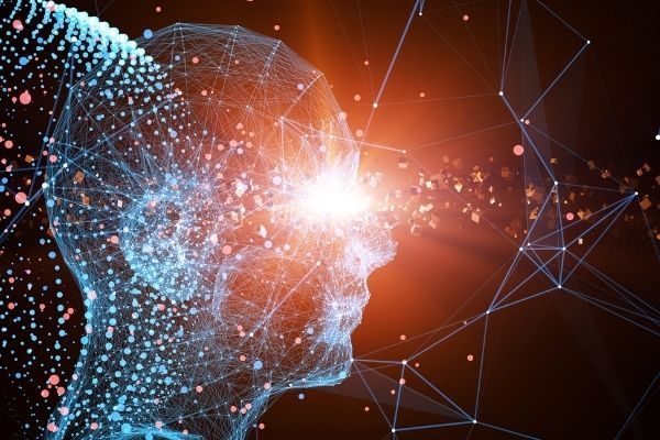 coaching polivagal, La Teoría Polivagal