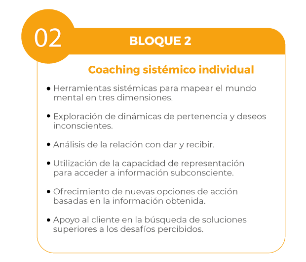 Formación Coaching Sistémico, Coaching Sistémico. Herramientas Sistémicas para el coaching individual