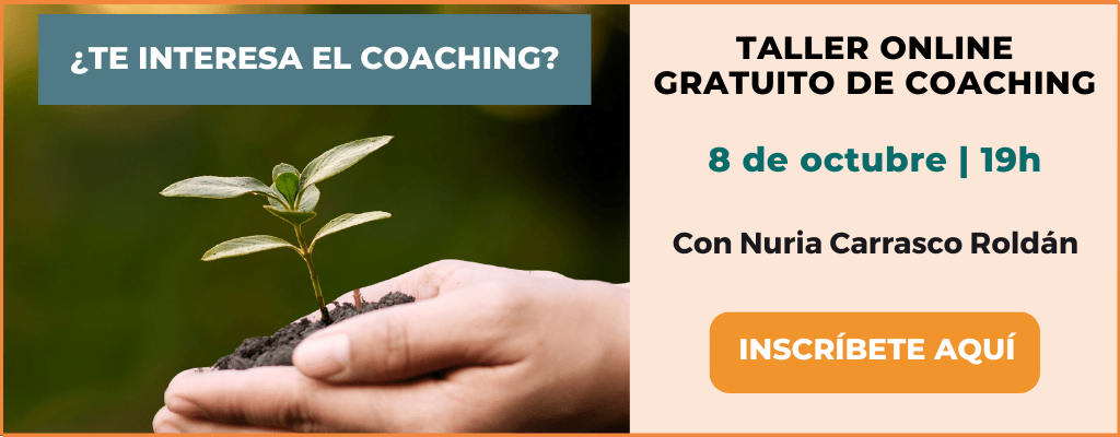 taller coaching 