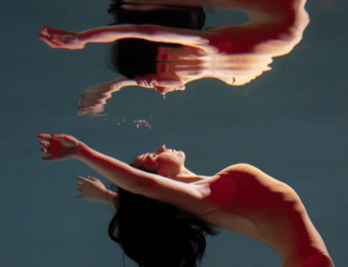 Volver al cuerpo: el camino de regreso a casa