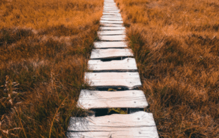 camino de madera entre el campo. equilibrio emocional