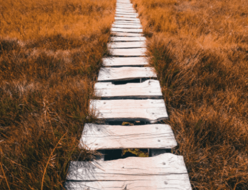Cómo transitar los cambios sin perder el equilibrio emocional