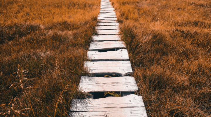 camino de madera entre el campo. equilibrio emocional