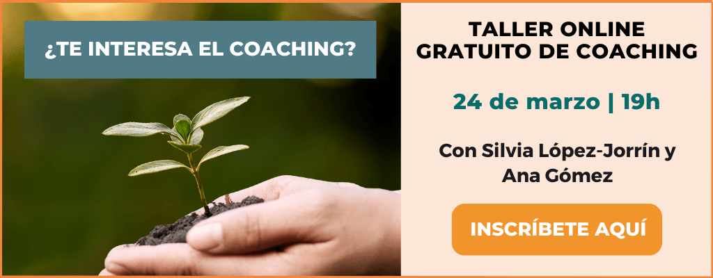 taller coaching