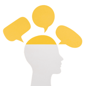 , CERTIFICACI&Oacute;N PRACTITIONER EN PNL