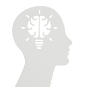 , CERTIFICACI&Oacute;N PRACTITIONER EN PNL